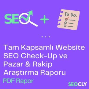 website seo check-up